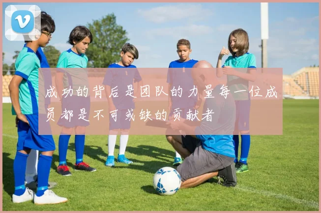 成功的背后是团队的力量每一位成员都是不可或缺的贡献者