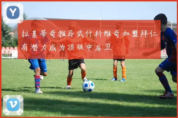 拉基蒂奇推荐武什科维奇加盟拜仁有潜力成为顶级中后卫